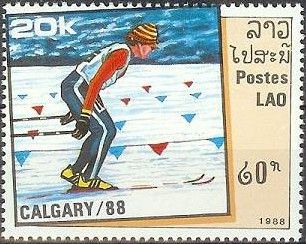 Ski Race
