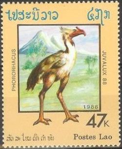 Phororhacus