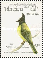 Black-crested Bulbul (Pycnonotus melanicterus)