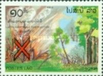 Forest fire