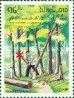 Man chopping trees