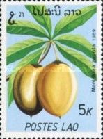 Sapodilla fruit (Manilkara zapota)