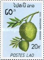 Annona sguamosa