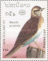 Eurasian Skylark (Alauda arvensis)