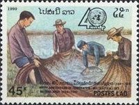 Fisher man and their catch