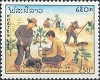 People planting trees