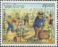 People planting trees