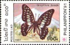 Common Jay (Graphium doson)