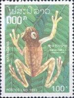 Starrett's Glass Frog (Centrolenella vireovittata)