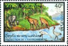Elephant Near Water