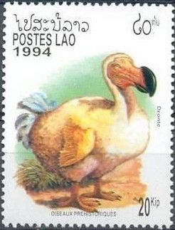 Dodo (Raphus cucullatus)