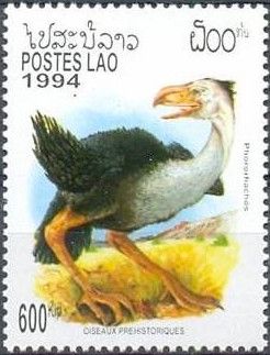 Phororhaclus