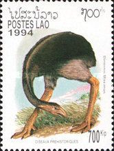 South Island Giant Moa (Dinornis maximus)