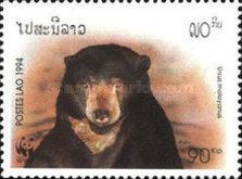 Sun Bear (Ursus malayanus)