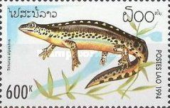 Alpine Newt (Triturus alpestris)