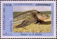 Leatherback Sea Turtle (Dermochelys coriacea)