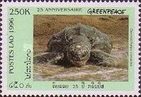 Leatherback Sea Turtle (Dermochelys coriacea)