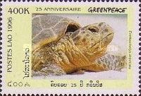 Hawksbill Turtle (Eretmochelys imbricata)