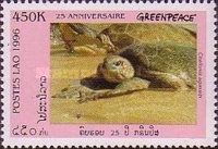 Galápagos Green Turtle (Chelonia agassizi)