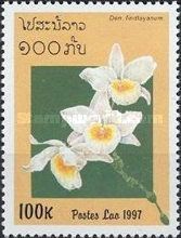 Dendrobium findlayanum