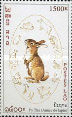 Rabbit (Family Leporidae)