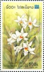 Dendrobium draconis