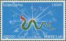 Year of the Dragon