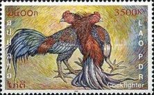 Fighting Cocks (Gallus gallus domesticus)