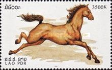 Horse (Equus ferus caballus)