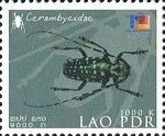 Longhorn Beetle (F: Cerambycidae)