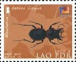 Jewel Beetle (Mouhotia batesi)