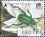 Leaf Beetle (Sagra femorata)