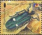 Metallic Wood Boring Beetle (Megaloxantha assamensis)