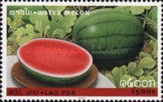 Water Melon