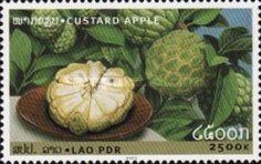Custard Apple
