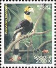 Great Hornbill (Buceros bicornis)