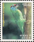 Moustached Barbet (Megalaima incognita) 