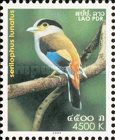 Silver-breasted Broadbill (Serilophus lunatus)