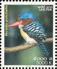 Banded Kingfisher (Lacedo pulchella)