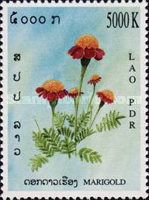 Red and orange marigolds