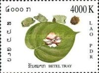 Betel nut and leaf