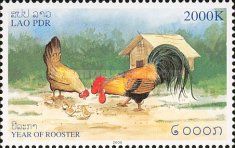 Rooster and Hen (Gallus gallus domesticus)