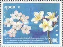 Cherry blossoms and frangipani