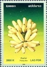 Mas Banana