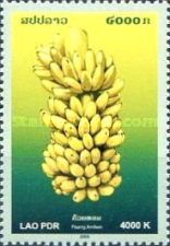 Ambon Banana