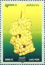 Awak Banana