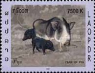 Domestic Pig (Sus scrofa domestica) and Piglets