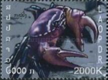 Crab