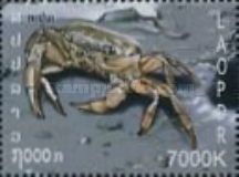 Crab