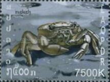Crab